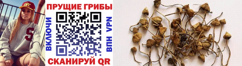 Галлюциногенные грибы MAGIC MUSHROOMS  Салаир 